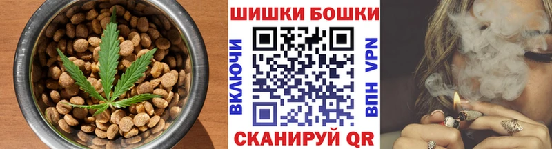 MEGA сайт  купить наркотики цена  Няндома  Cannafood конопля 