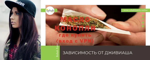 эйфоретик Арсеньев