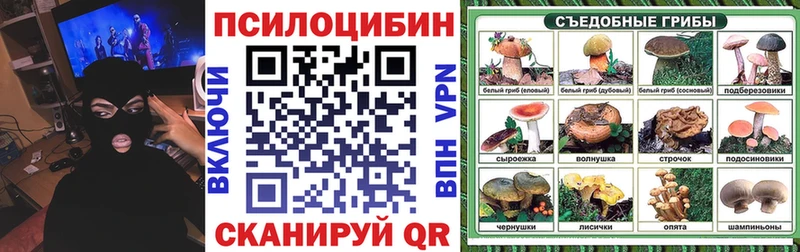 купить закладку  Няндома  даркнет наркотические препараты  Псилоцибиновые грибы мухоморы 