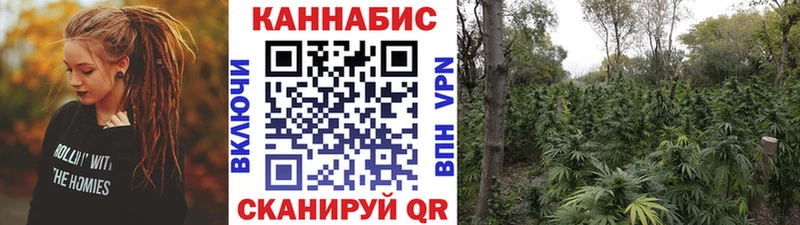 Канабис MAZAR  как найти закладки  Няндома 